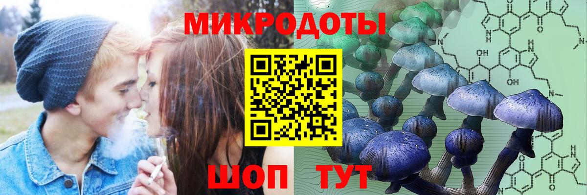 где продают наркотики  Вход с VPN  Мелеуз  Псилоцибиновые грибы Psilocybine cubensis 